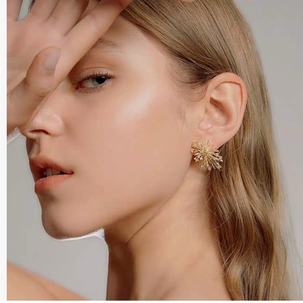 💥 FIREWORKS pattern 14K Gold plated Earrin…